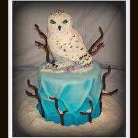 Snowy Owl Cake