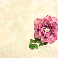 Open Rose- Gumpaste Flower!
