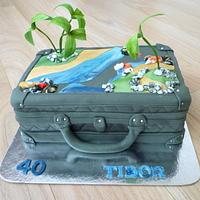 Travel cake Travel cake