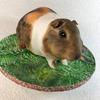 Guinea pig cake