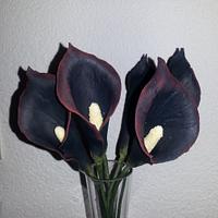 Calla Lily