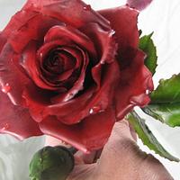 Gumpaste Rose