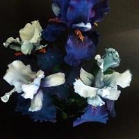 Blue Iris  in gum paste