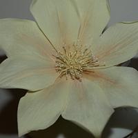 ivory clematis cold porcelain flowers