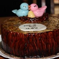 Birdies - baby shower cake