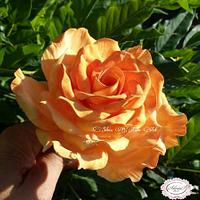 Rose... Rose...