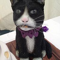 Cat that ate the cake