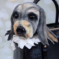 Dog in a Handbag cake