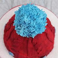 winter wooly knitted hat cake 