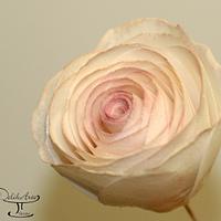 Wafer paper roses
