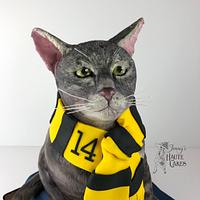 My Cat is a Hufflepuff