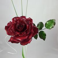 Simply Red-Black Rose