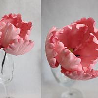Pink Parrot Tulip with Tutorial