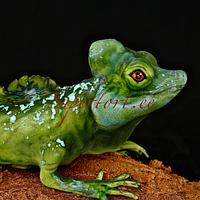 Green lizard chameleon on the wood