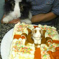cake bunny