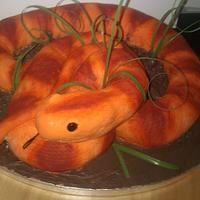 A snake cake I made for my mom