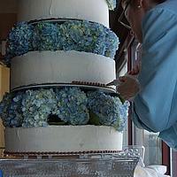 Rustic buttercream hydrangea wedding cake