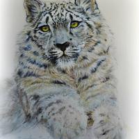 Snow Leopard - Spectacular Pakistan 