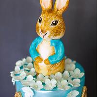 Peter Rabbit inspired baptism cake