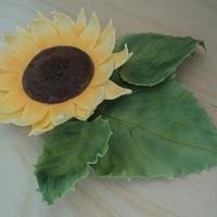 Sunflower (take 2)