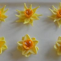 Daffodil using 2 kinds of cutters