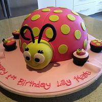 Lady bug cake