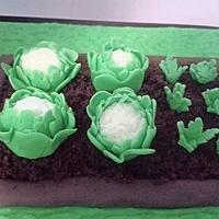 Garden Shed Cake