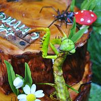 insect cake