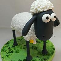 Daisy Sheep