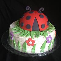 lady Beetle Cake 