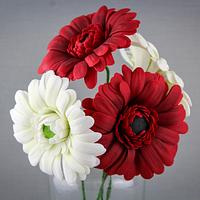 Gerbera Daisies