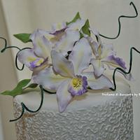 White Orchids and cornelli for wedding