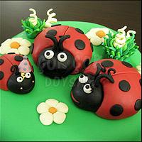Ladybug Family