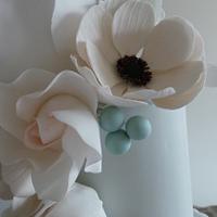 Blush anemones ❤️
