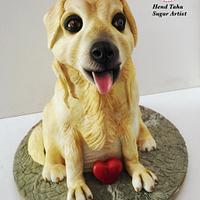 Sculpted Dog Cake 🐶💛