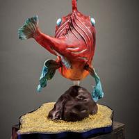 3D Cake "frogfish"