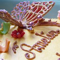 Butterfly cake