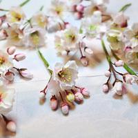 Spring Wedding. Cherry Blossoms