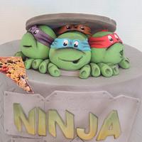 Ninja turtles 