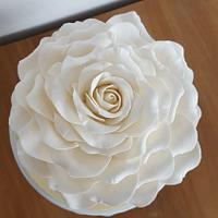 White Rose cake
