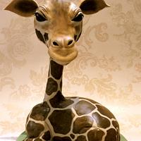 my baby giraffe