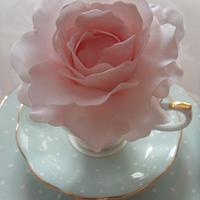 Bloom in a Tea Cup