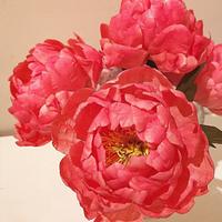 Wafer paper flowers-Peony 