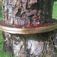 Tree stump 