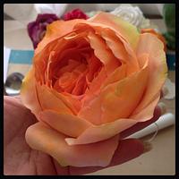 English Style Icing Rosé English Style Icing Rosé