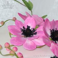 Anemone for eighteens