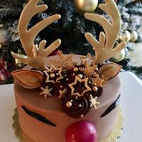 Reindeer Rudolph Cake