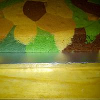 Paintball cake with camouflage interior