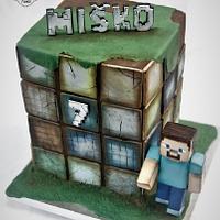 minecraft minecraft