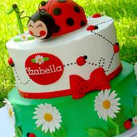 Ladybug themed cake